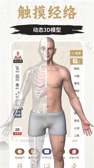知源经络穴位(1)