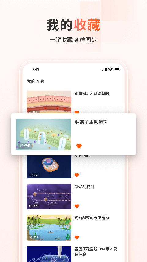 火花学院软件(3)