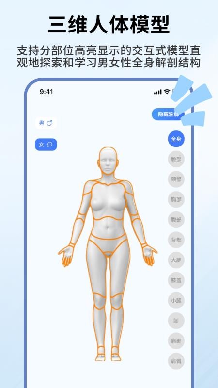 人体解剖学图谱(2)