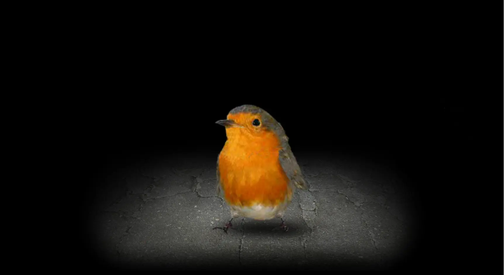 开局一个种子(4)