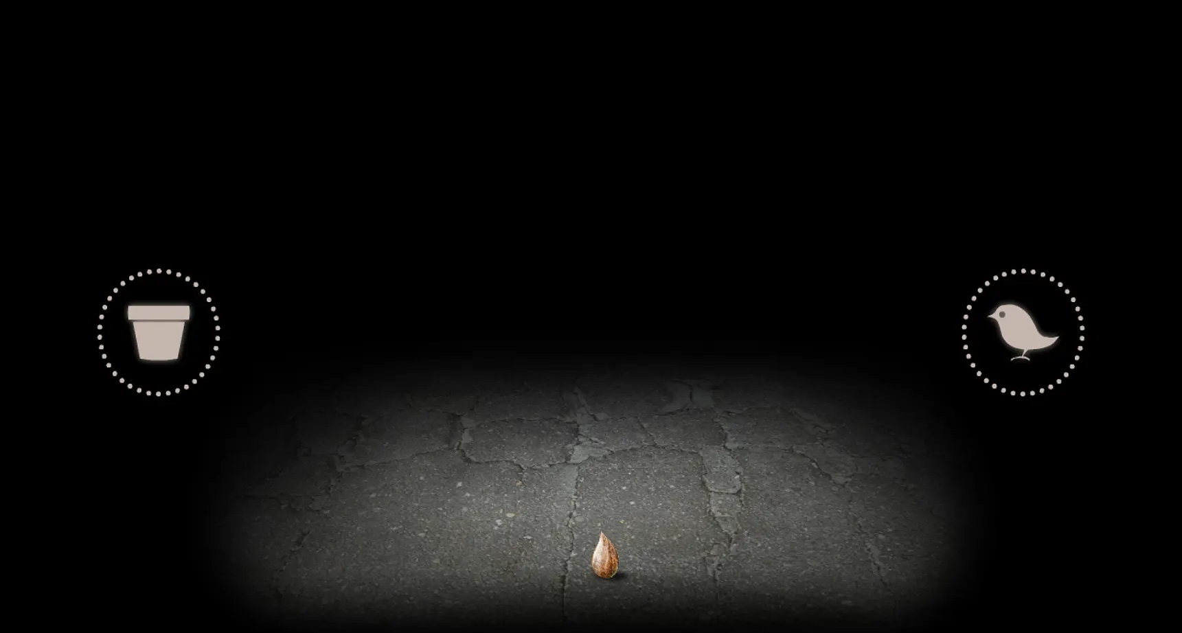 开局一个种子(2)