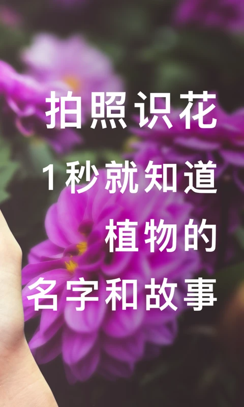 形色(3)