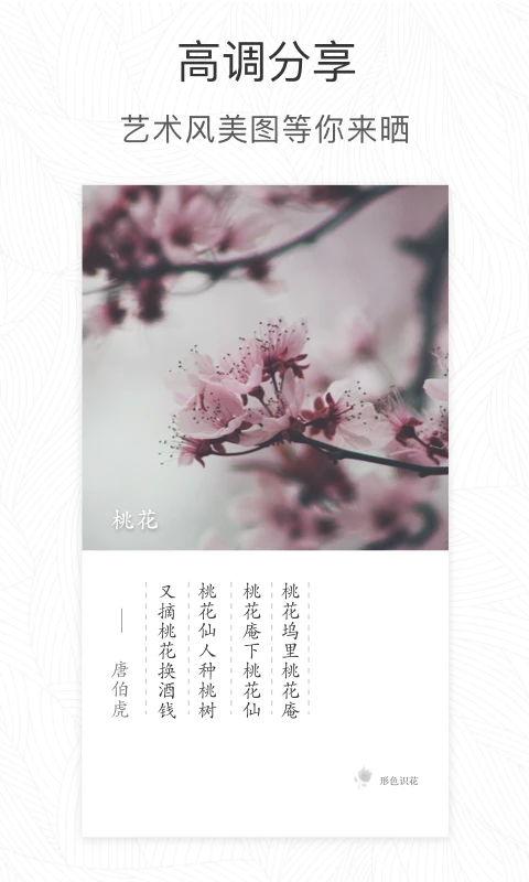 形色(2)
