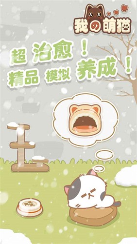 我的萌猫(3)