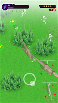 动物进化挑战(1)