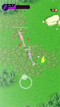 动物进化挑战(2)