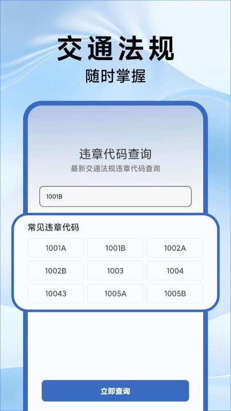 驾驶违章指南(2)