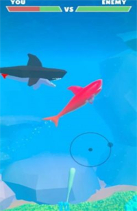 鲨鱼对决(2)