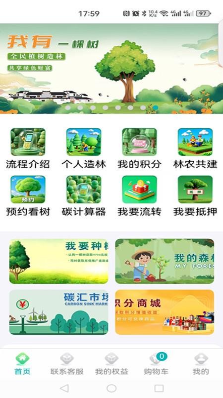大象森林(3)
