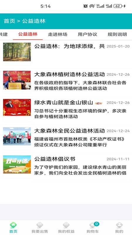 大象森林(2)