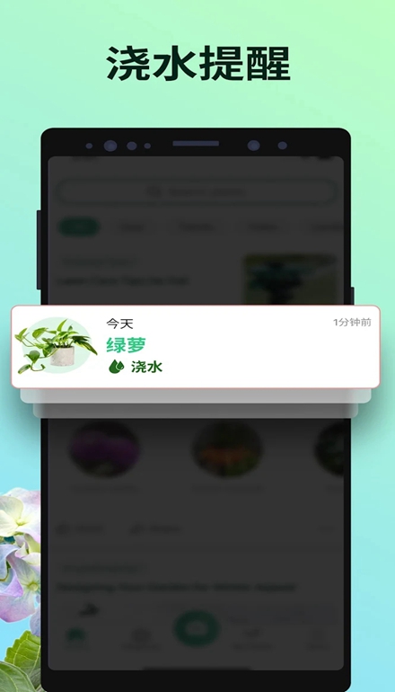 PictureThis解锁高级版(5)