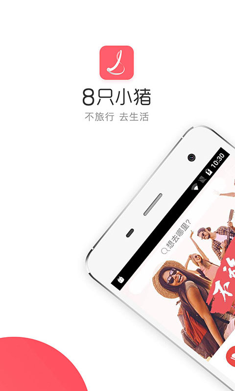 8只小猪旅行平台(3)