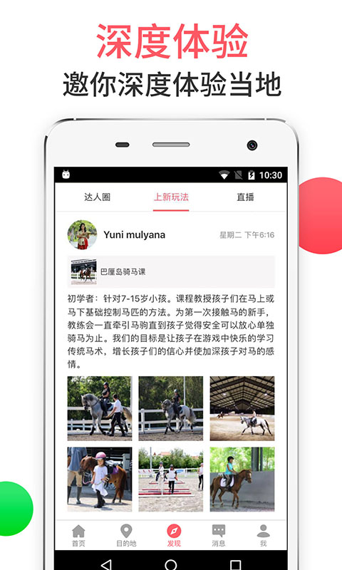 8只小猪旅行平台(1)