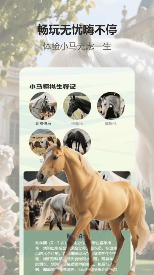 小马游戏模拟器8.0版本(2)