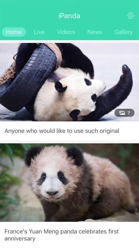 iPanda(4)