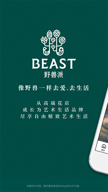 野兽派鲜花(1)