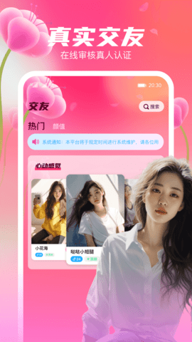 花聊视频交友(3)