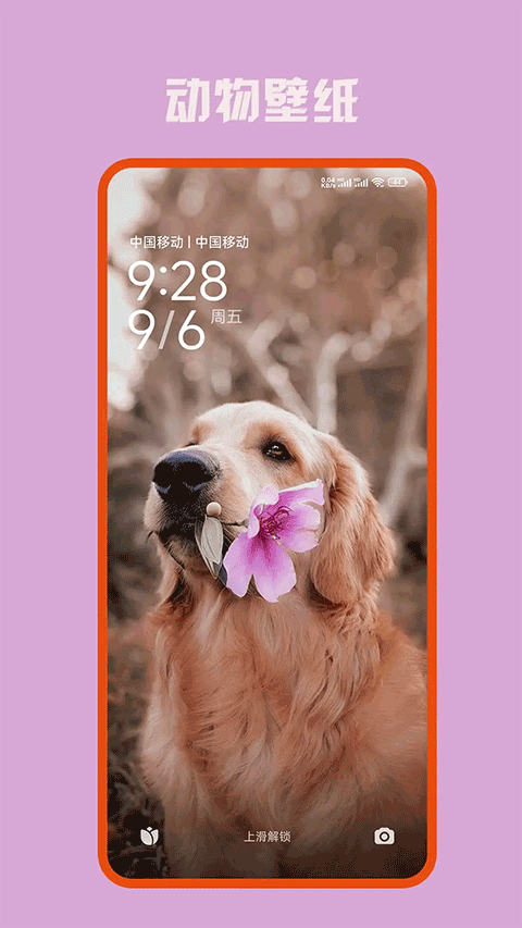 口袋免费壁纸app(2)