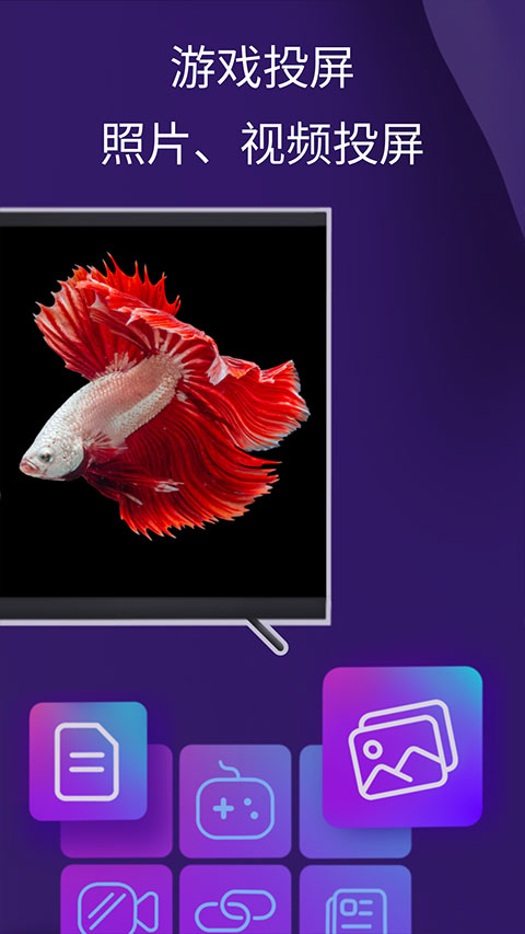 雨燕投屏手机版(2)