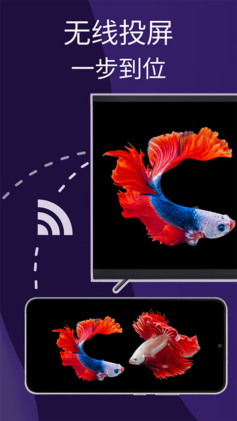 雨燕投屏手机版(3)