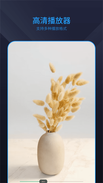 电视剧播放器(2)