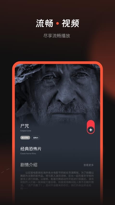 看片电视剧播放器(4)