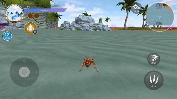 蜘蛛模拟生存(2)