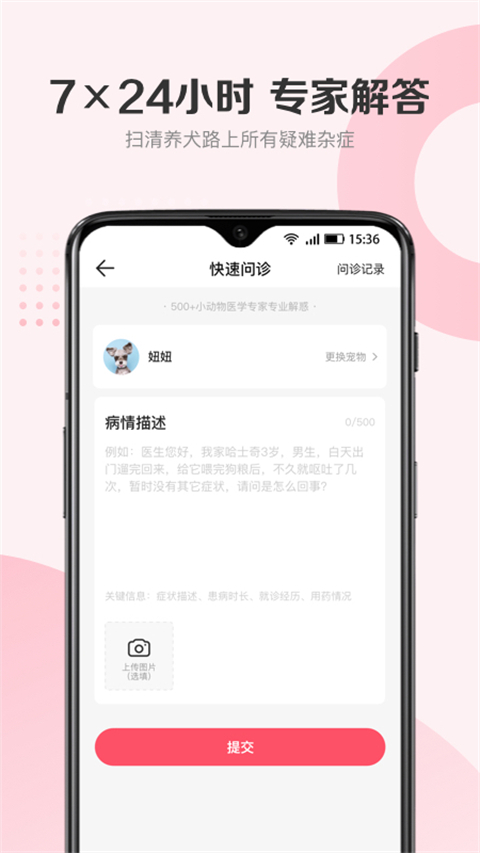 68宠物最新版(5)