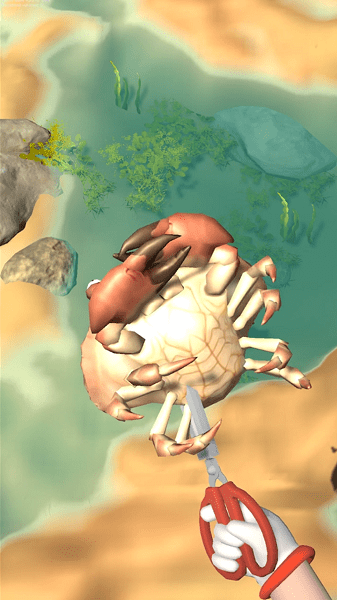 趕海之王模擬器(1)