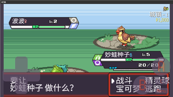 寶可夢(mèng)肉鴿(3)