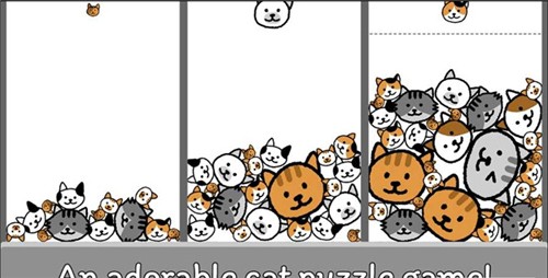 猫咪真的很爆爆(3)