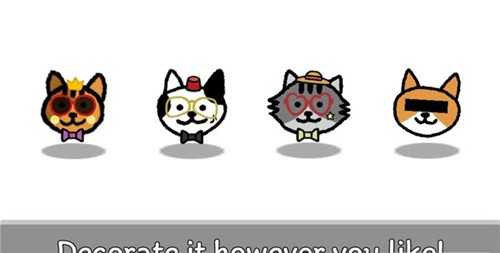 猫咪真的很爆爆(1)