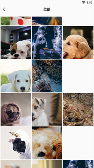 實時相機免費版(1)