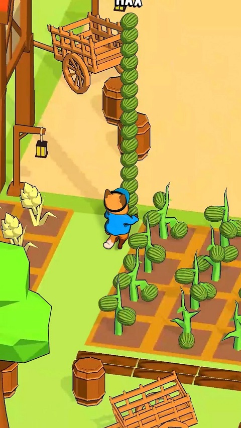 我的動物市場(1)