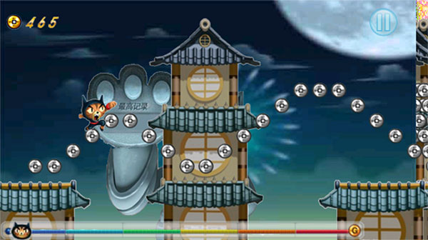 Temple Cat Run(3)