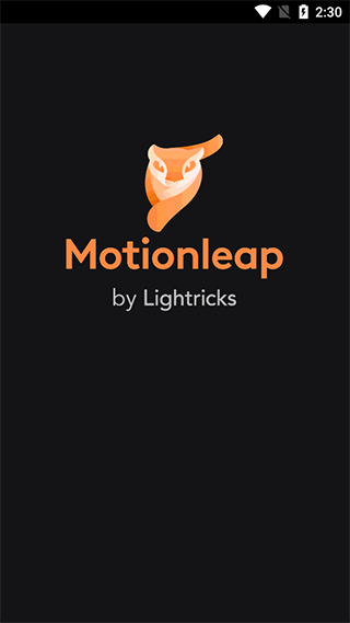 motionleap(1)