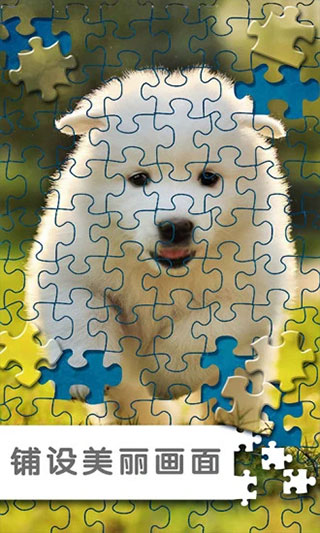 拼图挑战(3)