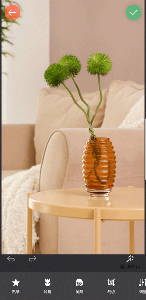 镜像相机官方版(3)