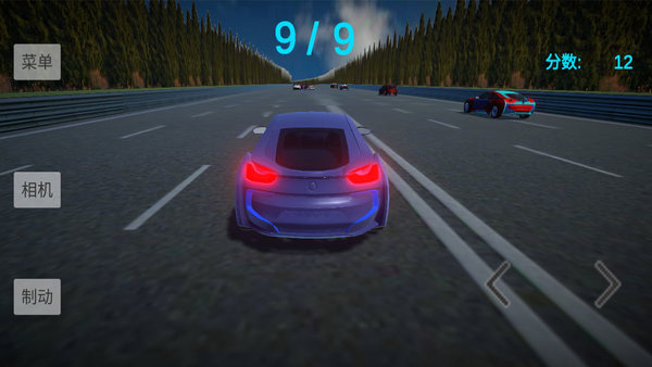 拉力賽車王手游(3)