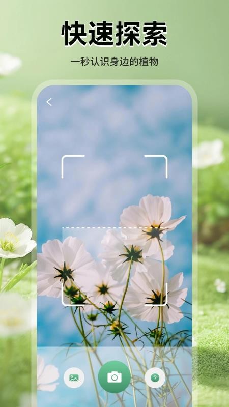 花團錦繡拾光(1)