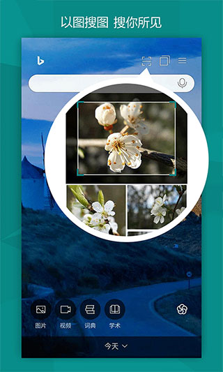 微軟bing國(guó)際版app(2)