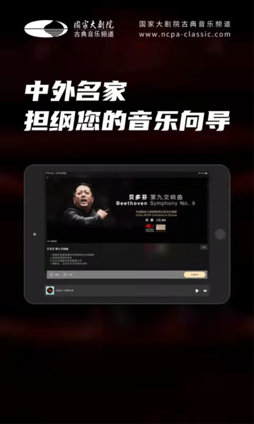 大剧院·古典HD(2)