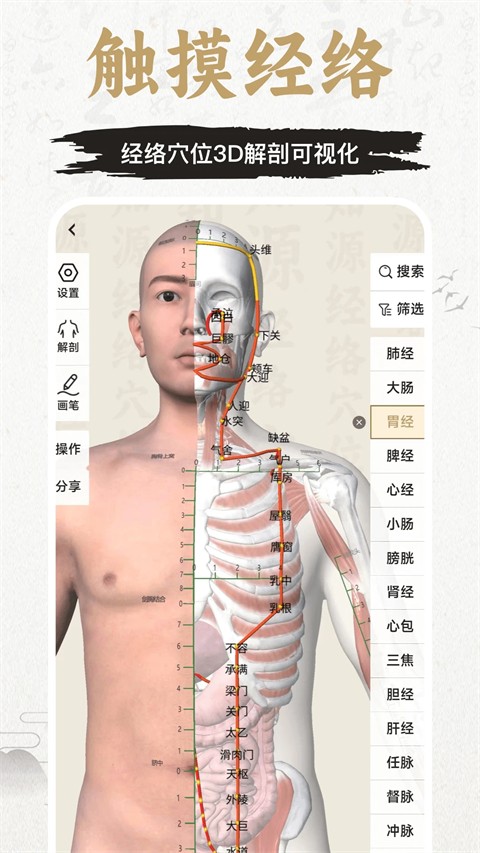 中济经络穴位免费版(5)